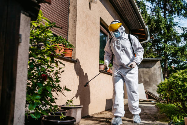 Best Best Pest Control Companies  in South Pasadena, FL