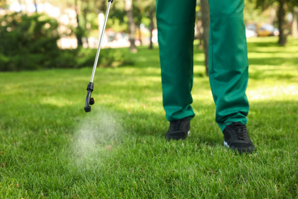 Best Best Pest Control Companies  in South Pasadena, FL