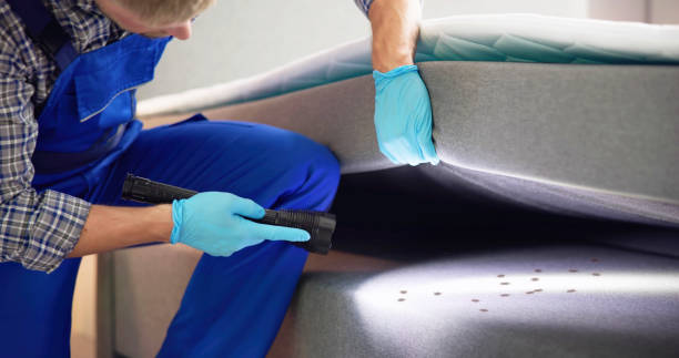 Best Exterminator Services  in South Pasadena, FL